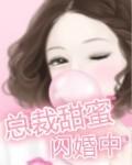 总裁甜蜜闪婚中