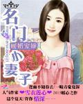 暖婚宠嫁：名门小妻子