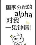 国家分配的alpha对我一见钟情