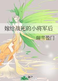 嫁给战死的小将军后